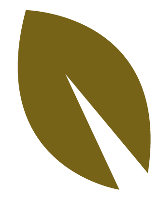 Leaf Icon