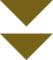 Leaf Icon